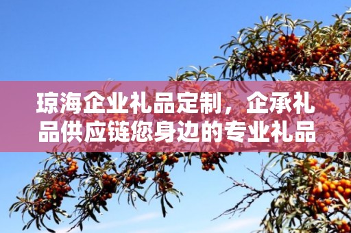 琼海企业礼品定制，企承礼品供应链您身边的专业礼品定制公司