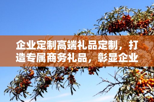 企业定制高端礼品定制，打造专属商务礼品，彰显企业品味