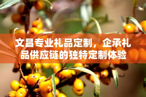 文昌专业礼品定制，企承礼品供应链的独特定制体验