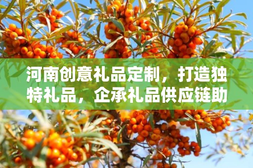 河南创意礼品定制，打造独特礼品，企承礼品供应链助力商务推广