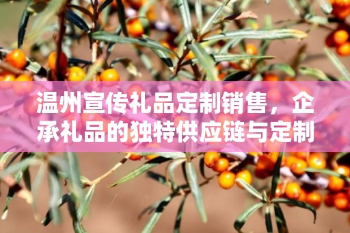 温州宣传礼品定制销售，企承礼品的独特供应链与定制销售魅力